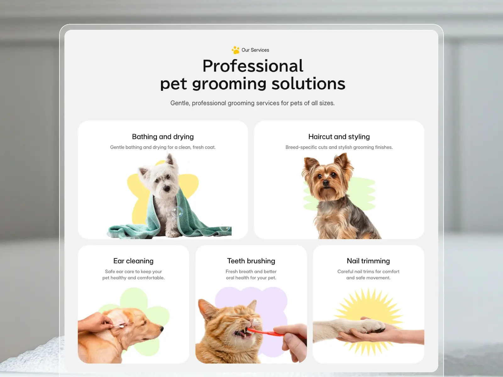 GroomLab — Pet Grooming Template