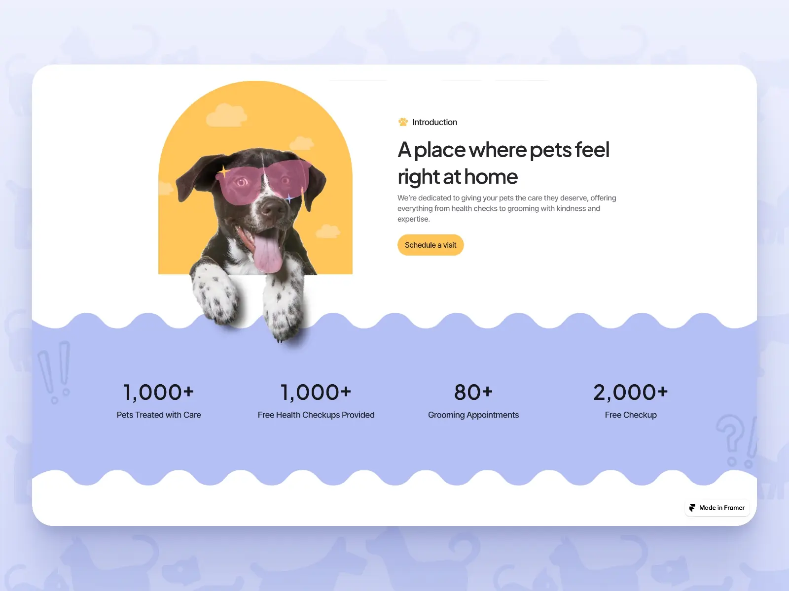 Pawsy — pet care businesses website