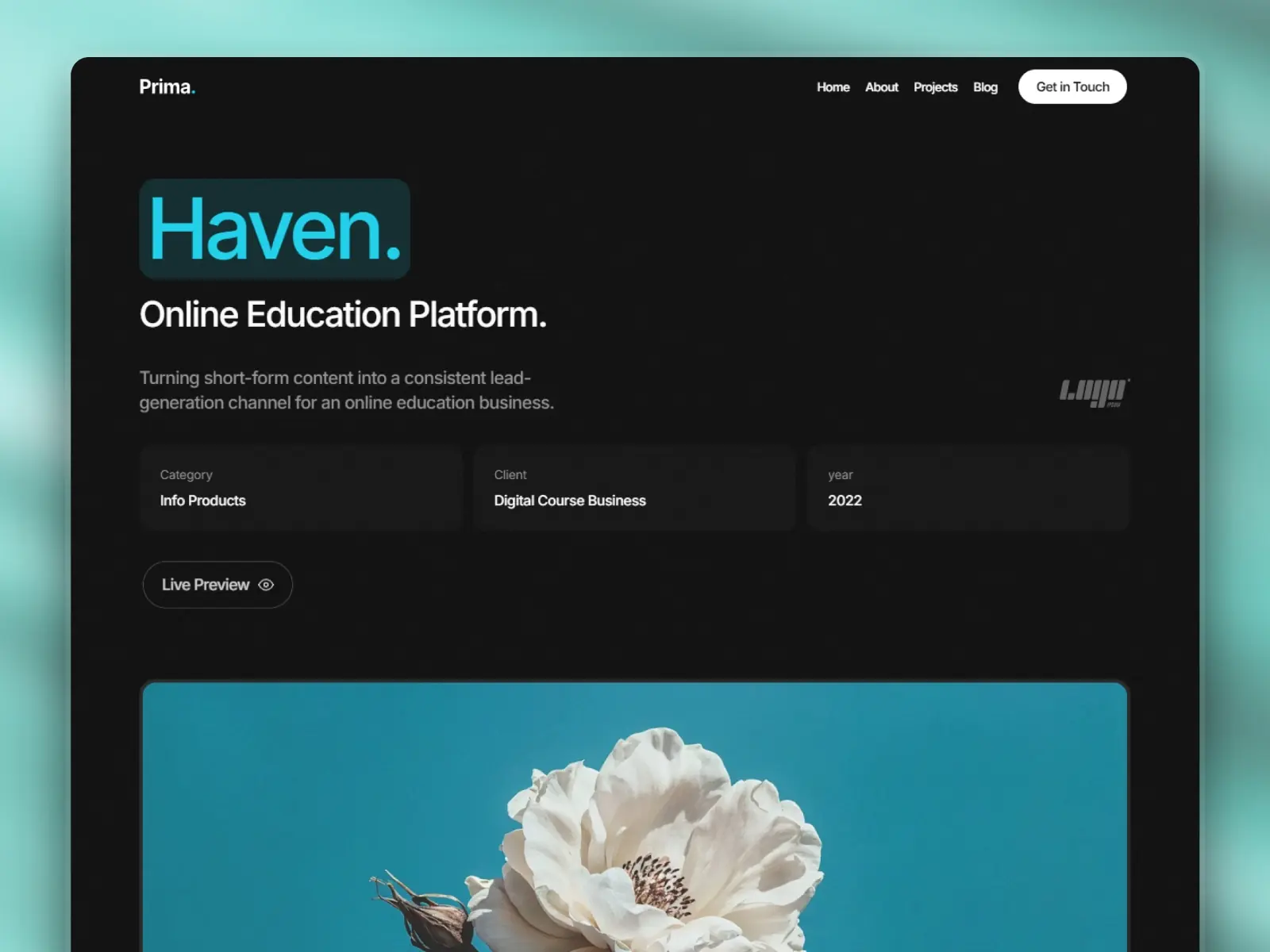 Prima — Digital Marketing Agency Template