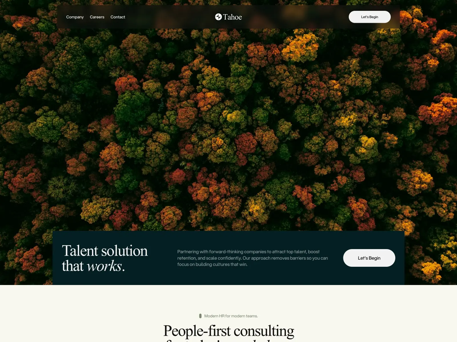 Tah0e — Free ConsultancyTemplate