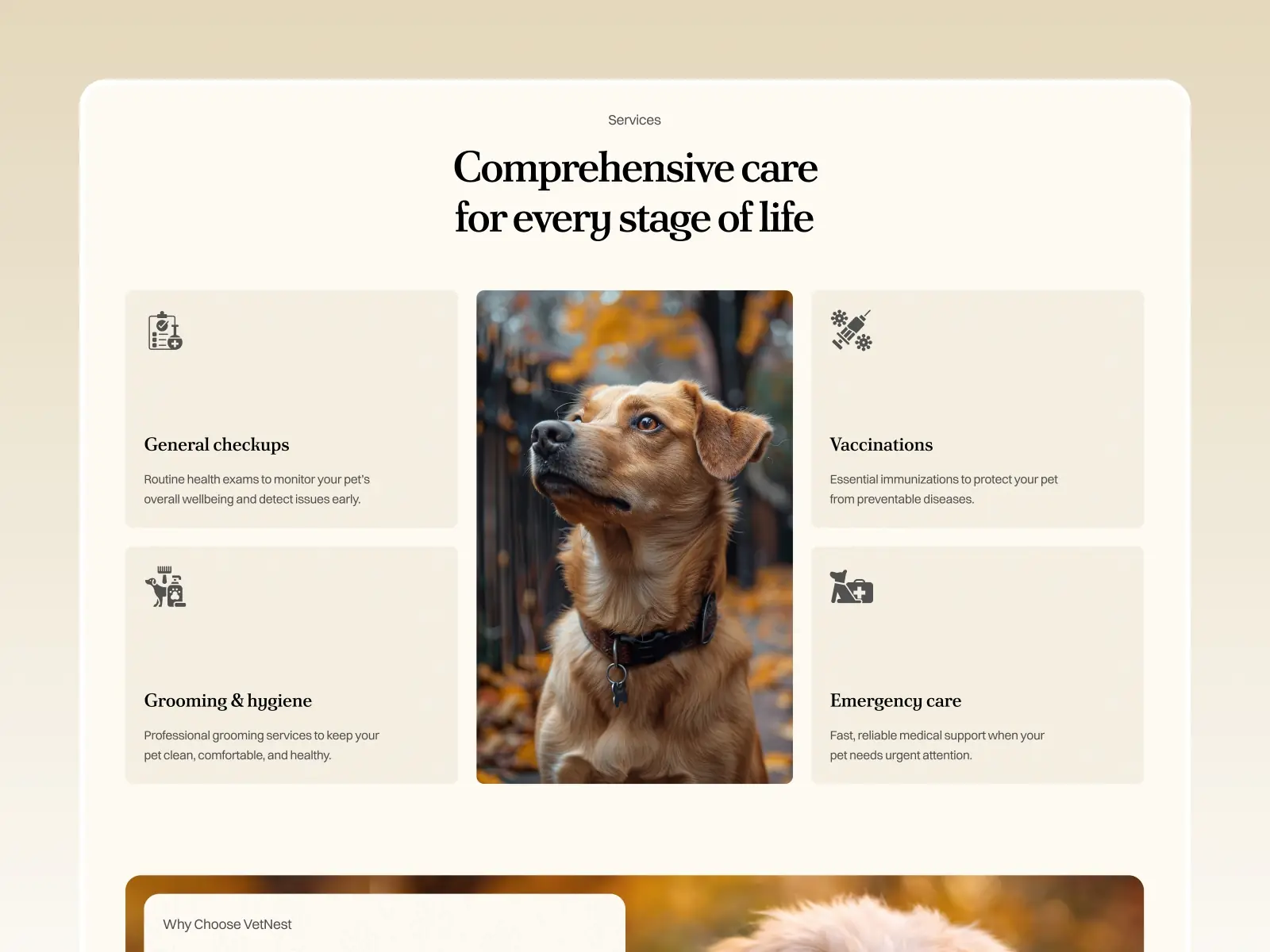Vetnest — Pet Care Landing Page
